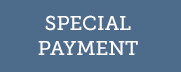 Special Payment