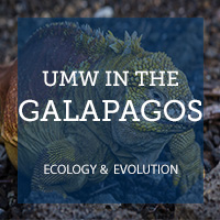 UMW in the Galapagos